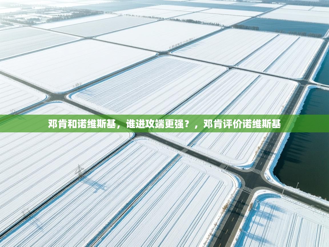 开云体育直播-邓肯和诺维斯基，谁进攻端更强？，邓肯评价诺维斯基  第1张