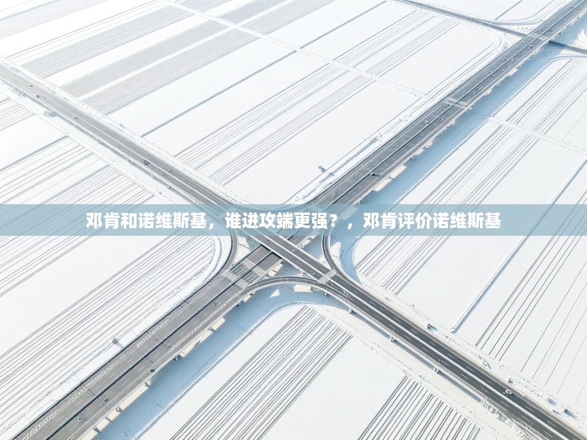 开云体育直播-邓肯和诺维斯基，谁进攻端更强？，邓肯评价诺维斯基  第3张