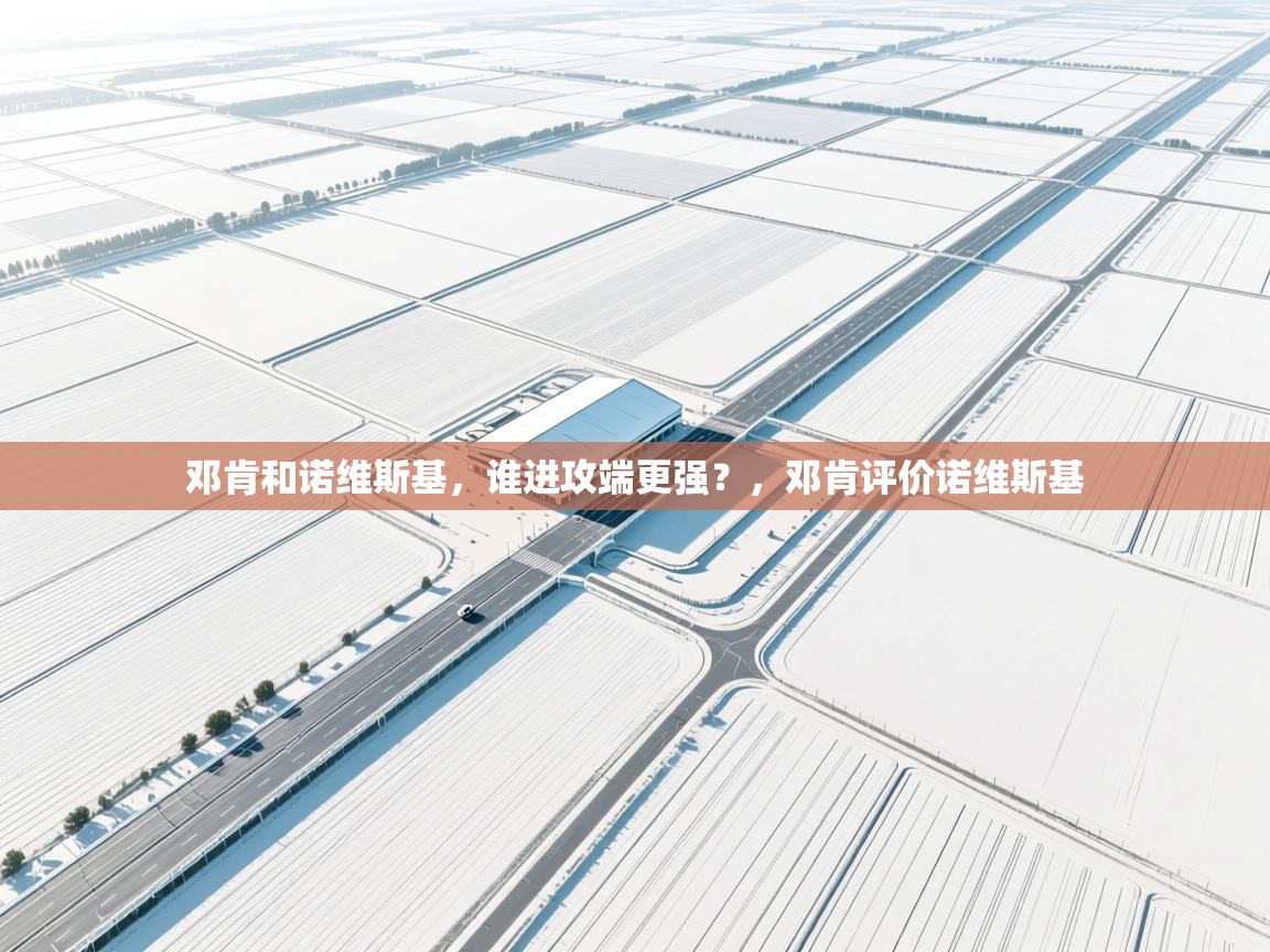 开云体育直播-邓肯和诺维斯基，谁进攻端更强？，邓肯评价诺维斯基  第4张