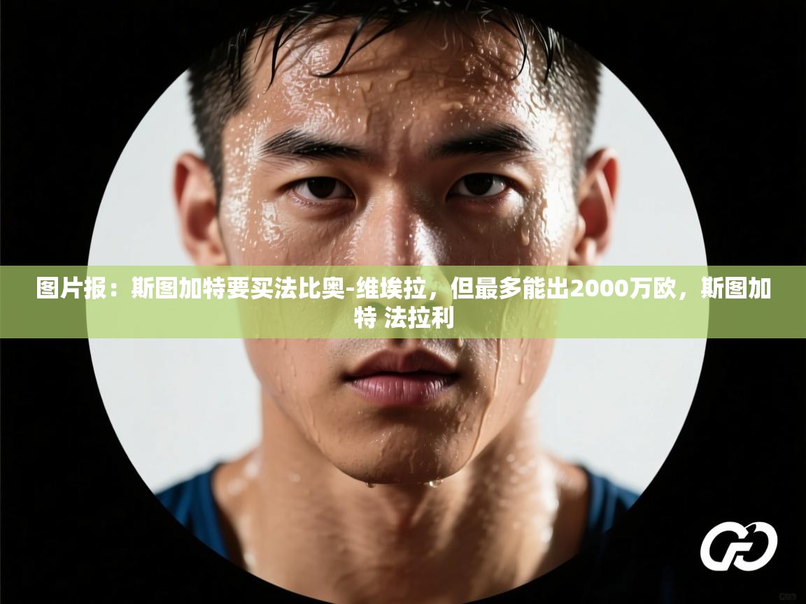 开云体育app下载链接-图片报：斯图加特要买法比奥-维埃拉，但最多能出2000万欧，斯图加特 法拉利  第3张