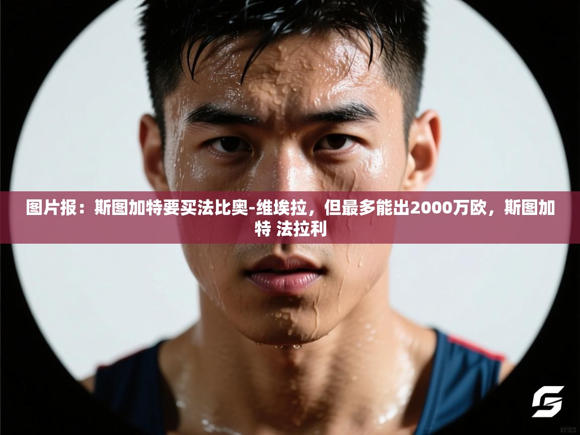 开云体育app下载链接-图片报：斯图加特要买法比奥-维埃拉，但最多能出2000万欧，斯图加特 法拉利  第4张